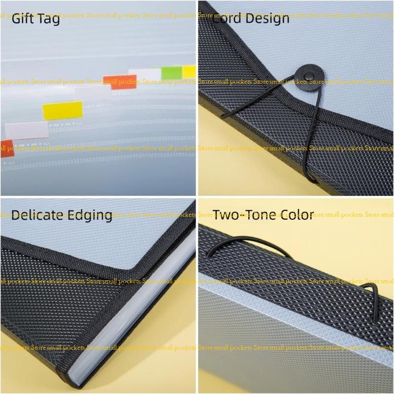Home Office Bagas - R1WD 13 Pockets Expandable Filing Case