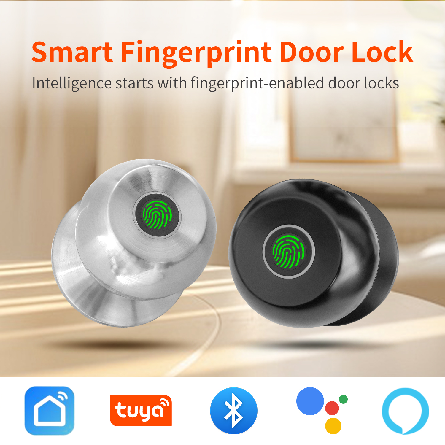 Tuya Digital Electronic Lock S - Home Office Immigration ulasan dan harga